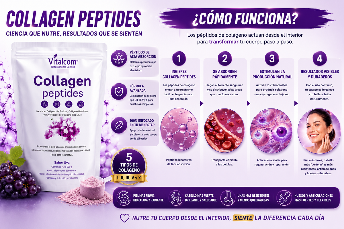 Guía de Uso y Absorción